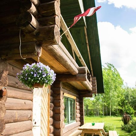 Вилла Melderi Резекне Экстерьер фото