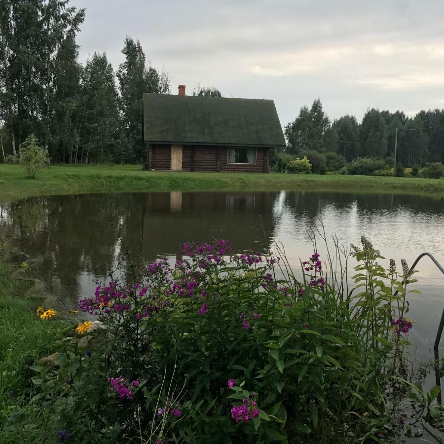 Вилла Melderi Резекне Экстерьер фото