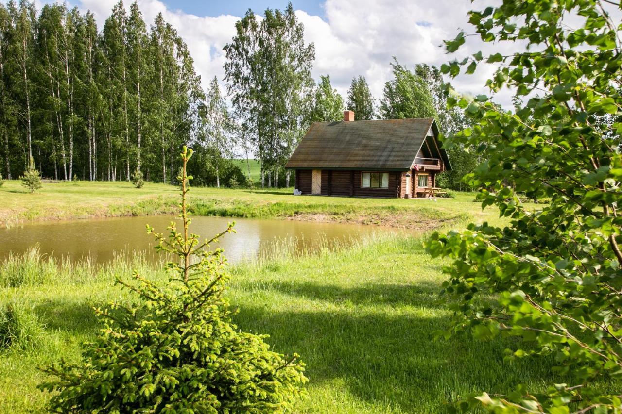 Вилла Melderi Резекне Экстерьер фото